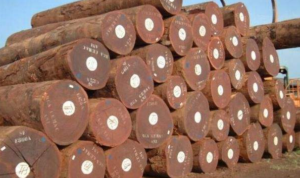 非洲木材供应商等待买家对木材提价的反应