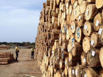 爱沙尼亚对澳大利亚木材出口量增长80％