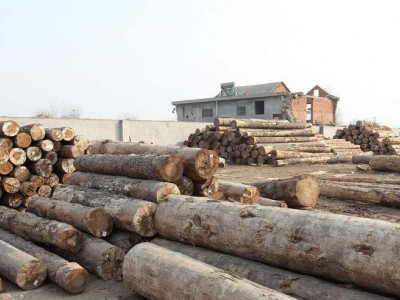 木材市场：北美材高歌猛进 国内需求缓步上升