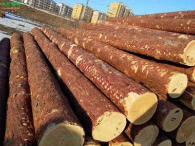 广西贵港3月开启木材行业环保督查