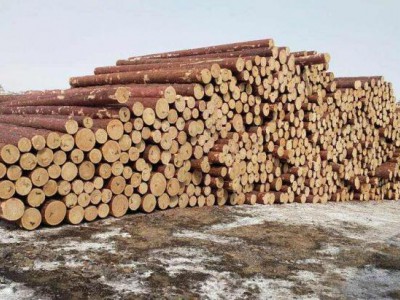 内蒙古2017年检疫监管进口木材近1400万立方米