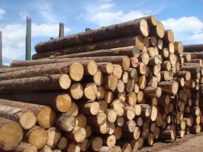 2018年1-2月中国进口原木及锯材1396.5万立方
