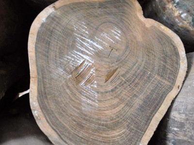 木材知多少 你常听的木材名称价值几何