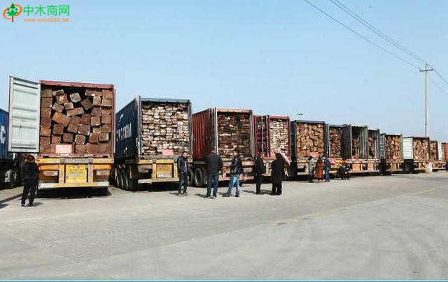 原木木材批发市场