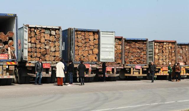 中国比较大木材批发市场
