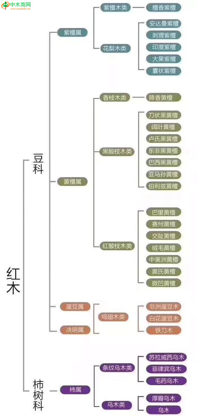 红木类的树种