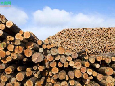 美国木材出口达新高度,南部原木价格已打破25年记录！