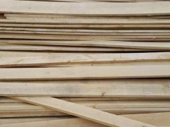 厂家直销 精品白松原木 白松板材 长期大量批发