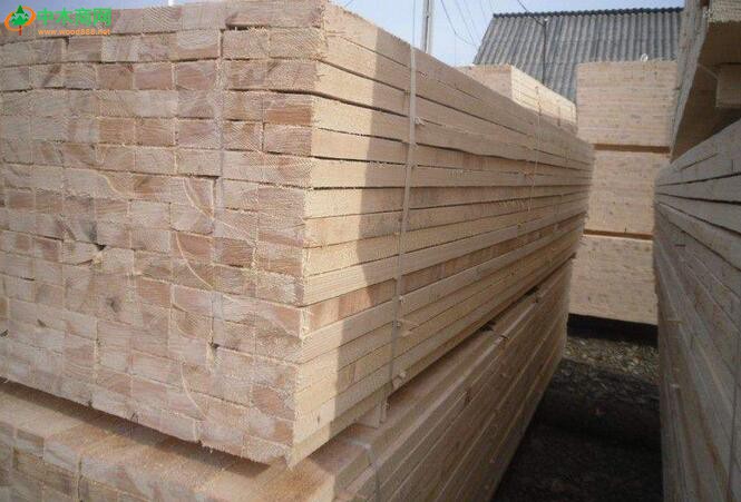 专业销售铁杉板材 云杉板材 白松实木板材