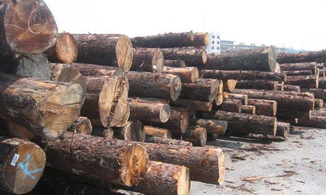 莆田木材商告诉你,如何进行木材产业的转型