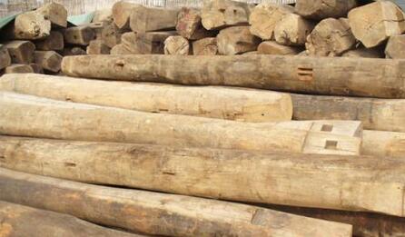 源最广的一条就是作为房梁使用的榆木柱子
