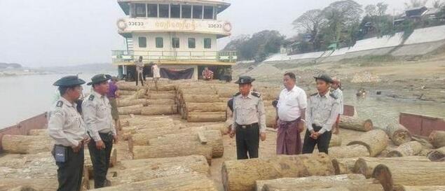 缅甸查获非法运输木材超80吨