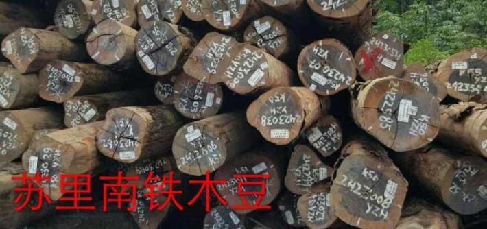 铁木豆,山樟等原木价格行情_2018年03月27日