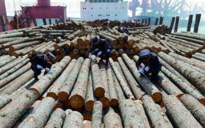 四川恩阳区木材经营加工专项整治行动拉开序幕