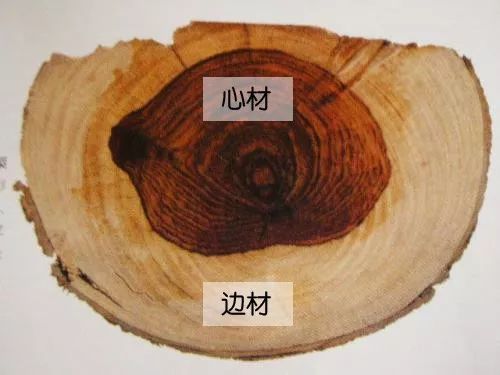 心材是指原木的中间部分，介于髓心与边材之间的部分