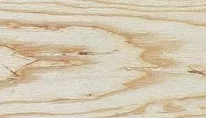 无规则的类似于矿物痕的斑点，常见于白蜡木