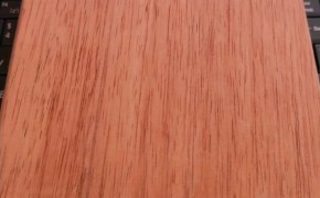 柳桉木原木及柳桉木原木多少钱一方图2