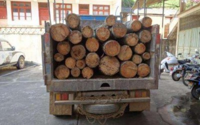 山西连续查获两起非法运输木材的违法行为