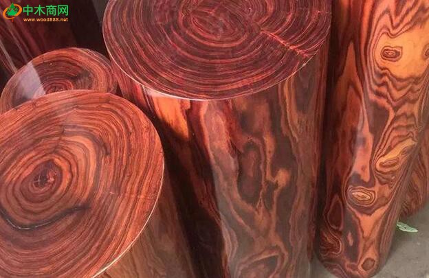 非洲所出产的紫檀属木材中的几种颜色较深