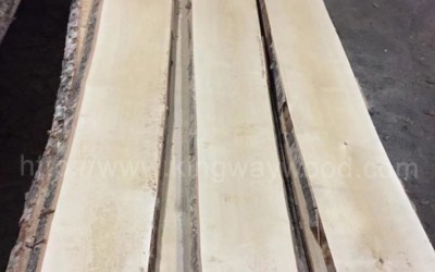 欧洲桦木毛边板材ABC级稳定月供20柜 地板材木料