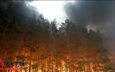 俄罗斯远东森林达火灾 一昼夜40000公顷森林被毁