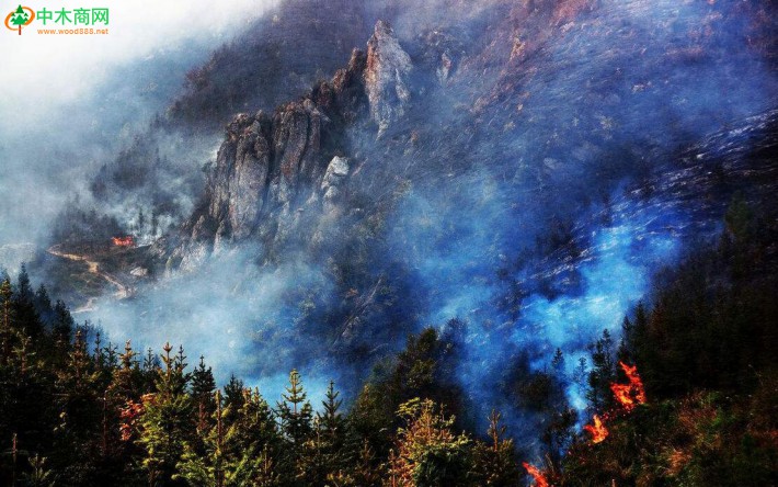 红外自动系统可远程探测林场火灾