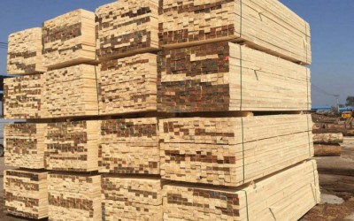 一季度张家港口岸进口集装箱运木材20.75万立方