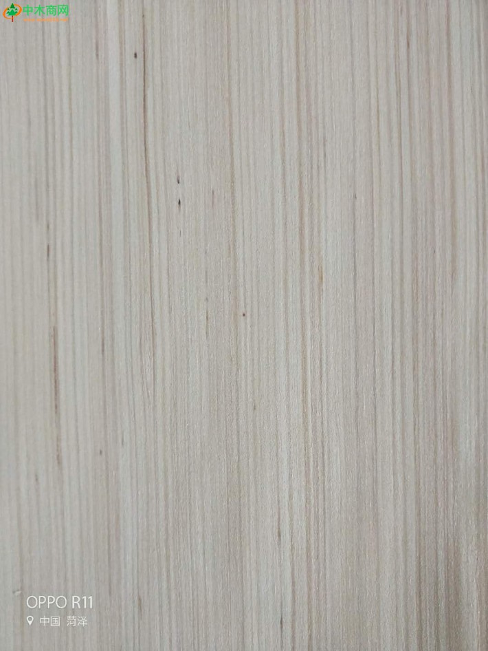 科技木木皮，杨木漂白面皮，杨木原色木皮，杨木旋切单板，杨木木皮，杨木单板，杨木面皮