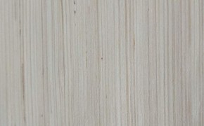 简介：