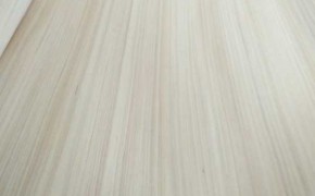 简介：