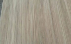 简介：