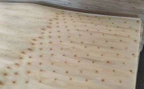 简介：