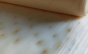 漂白杨木木皮_泓彰木业图2