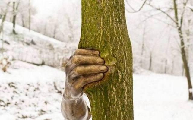 从远处一看，一只手就紧紧的捉住一棵树不放