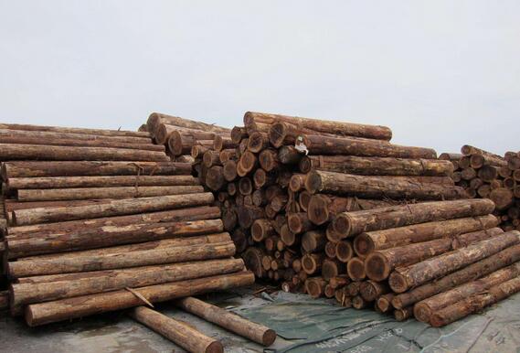 日本：刺激木材需求力促林业产业化增长