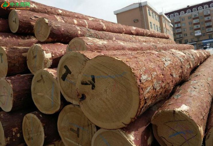 俄海关:对华出口木材未回款千万美元已进行刑事立案