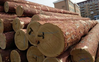 俄海关:对华出口木材未回款千万美元已进行刑事立案