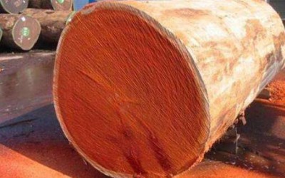 国务院修改木材收购及濒危物种进出口行政法规