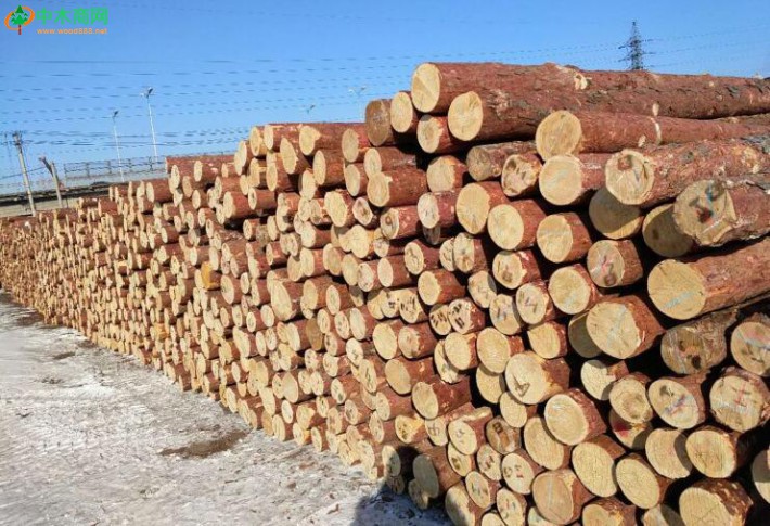 做木材进口生意需要规避哪些风险？