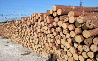 做木材进口生意需要规避哪些风险？