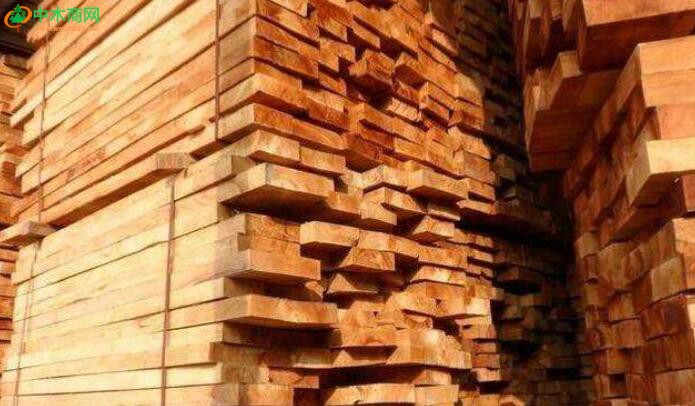 越南木材工业面临原料不足的困境