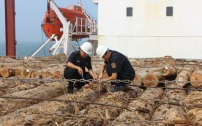 江苏常熟检验检疫局严把进境木材检疫关