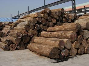 供应进口木材 缅甸柚木原木 可批发零售 质优价廉