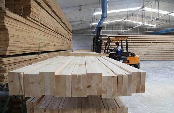 塞拉利昂新总统签署行政命令立即停止木材出口