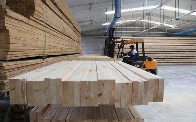 塞拉利昂新总统签署行政命令立即停止木材出口