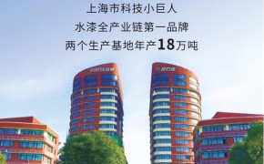 六链DP水性苯丙透明底漆 经济型易打磨 木门 家具专用水漆图3