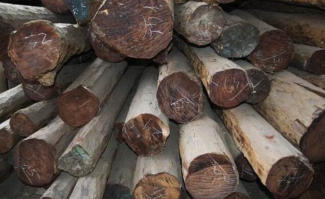 优质原木都要有一定的油性，木材的油性当然越重越好