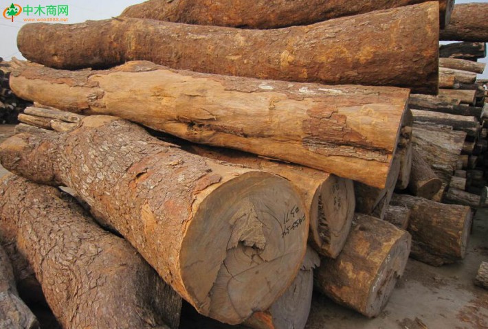 非洲便宜木材大全图片