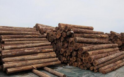 日本针对越南实施扩大木材出口政策
