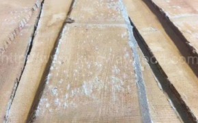 欧洲德国进口 榉木毛边板 实木板 家具木料 地板料图2